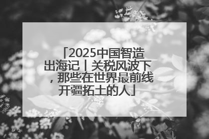 2025中国智造出海记丨关税风波下，那些在世界最前线开疆拓土的人