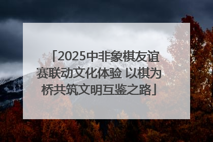 2025中非象棋友谊赛联动文化体验 以棋为桥共筑文明互鉴之路
