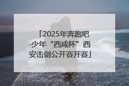 2025年奔跑吧·少年“西咸杯”西安击剑公开赛开赛