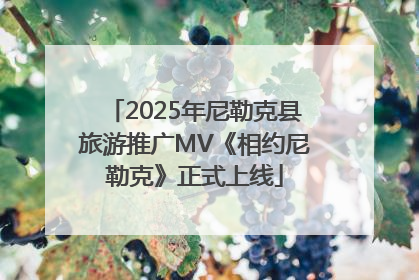 2025年尼勒克县旅游推广MV《相约尼勒克》正式上线