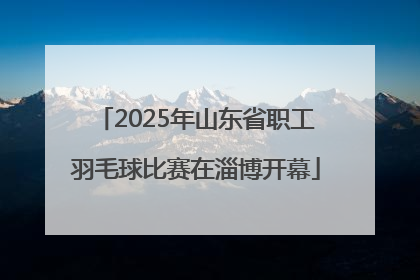 2025年山东省职工羽毛球比赛在淄博开幕