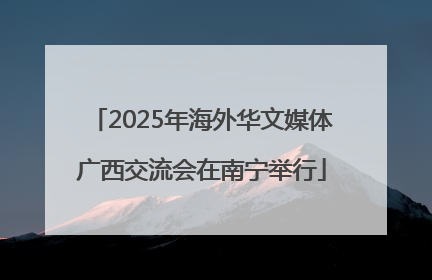2025年海外华文媒体广西交流会在南宁举行