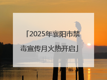 2025年襄阳市禁毒宣传月火热开启