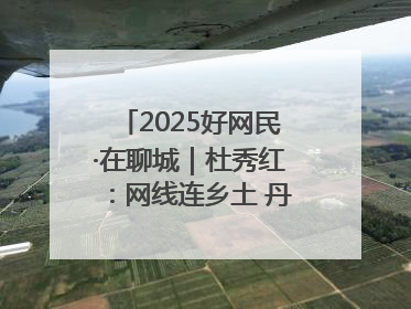 2025好网民·在聊城｜杜秀红：网线连乡土 丹心映桑梓