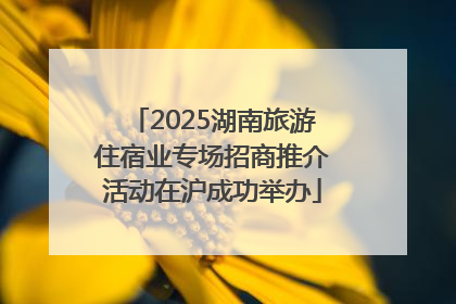 2025湖南旅游住宿业专场招商推介活动在沪成功举办