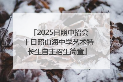 2025日照中招会丨日照山海中学艺术特长生自主招生简章