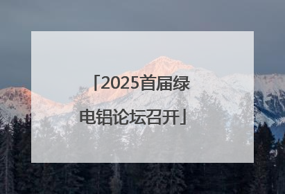 2025首届绿电铝论坛召开