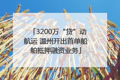 3200万“贷”动航运 温州开出首单船舶抵押融资业务