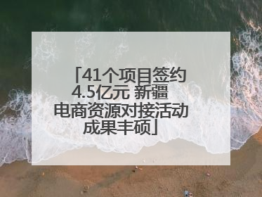 41个项目签约4.5亿元 新疆电商资源对接活动成果丰硕