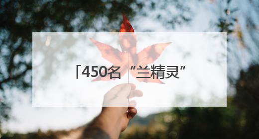 450名“兰精灵”护航兰马物资发放