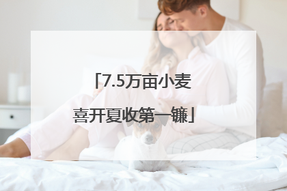 7.5万亩小麦喜开夏收第一镰