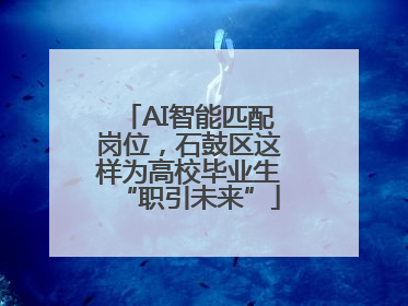 AI智能匹配岗位，石鼓区这样为高校毕业生“职引未来”