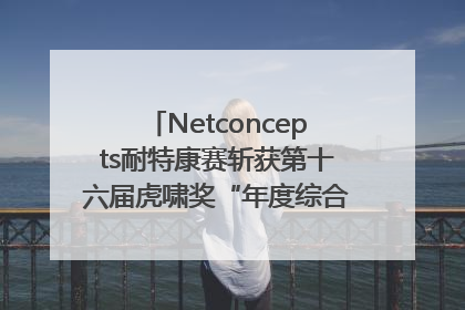 Netconcepts耐特康赛斩获第十六届虎啸奖“年度综合服务商”大奖