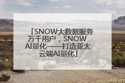 SNOW大数据服务万千用户，SNOW AI量化——打造亚太云端AI量化