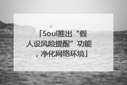 Soul推出“假人设风险提醒”功能，净化网络环境